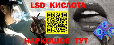 крисы Донской