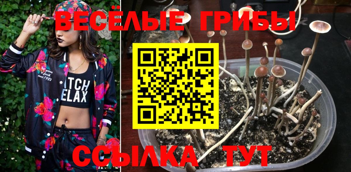 Миасс  A-PVP СОЛЬ кристаллы  Cocaine  Вход с VPN  Канабис  ГАШ  МЕФ кристаллы 